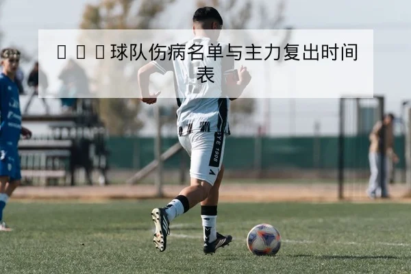 CBA球队伤病名单与主力复出时间表
